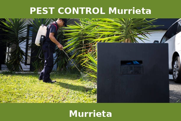 PEST CONTROL Murrieta